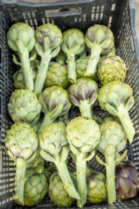 box of artichokes