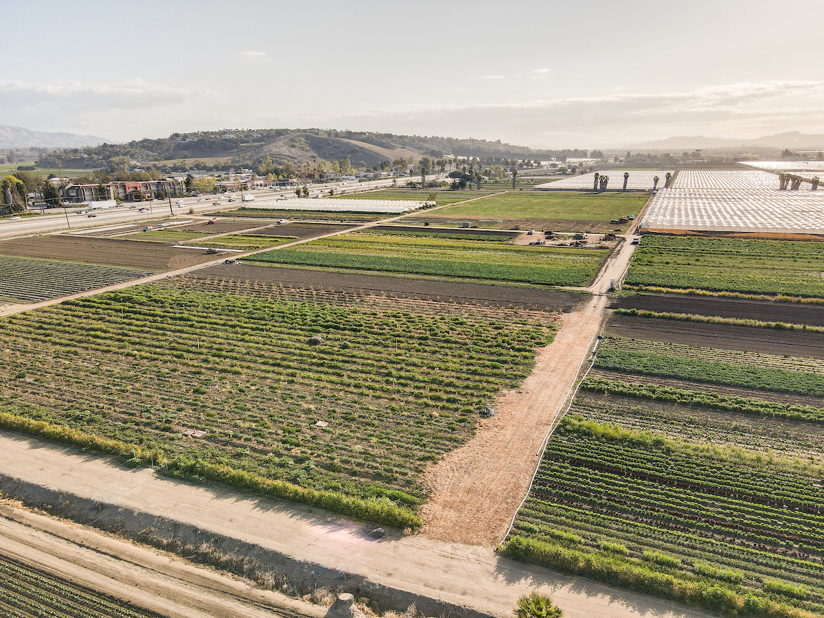 California Gov Proposes Historic Funding for Sustainable Agriculture as Key Partner in State’s Recovery