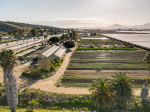 McGrath Family Farm 101 Freeway Camarillo