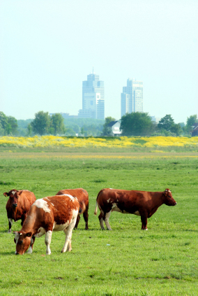 How the Pandemic has Impacted Farmer Outreach:  From a Resource Professional’s Point of View