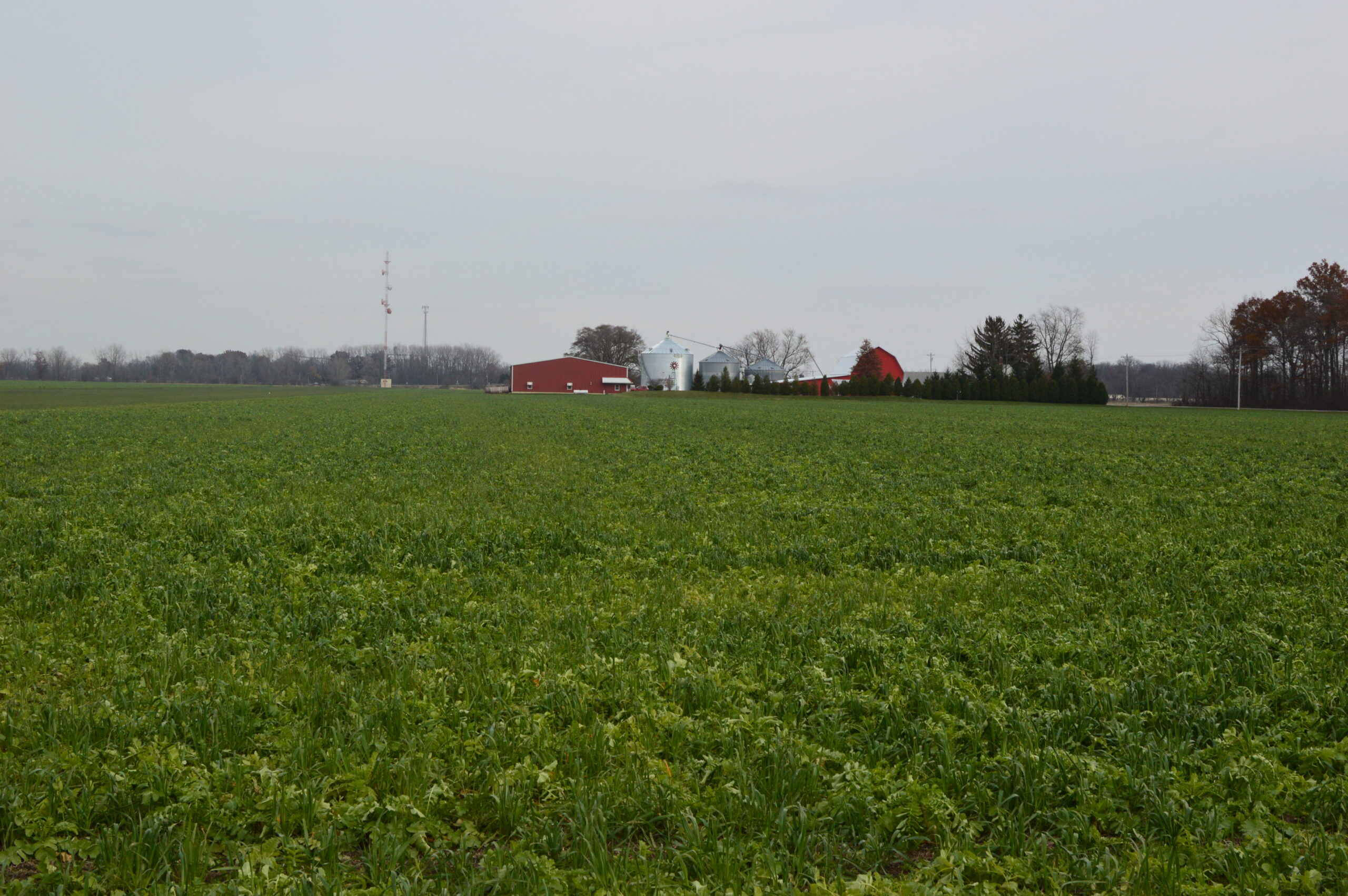 Illinois Takes Big Regenerative Agriculture Steps