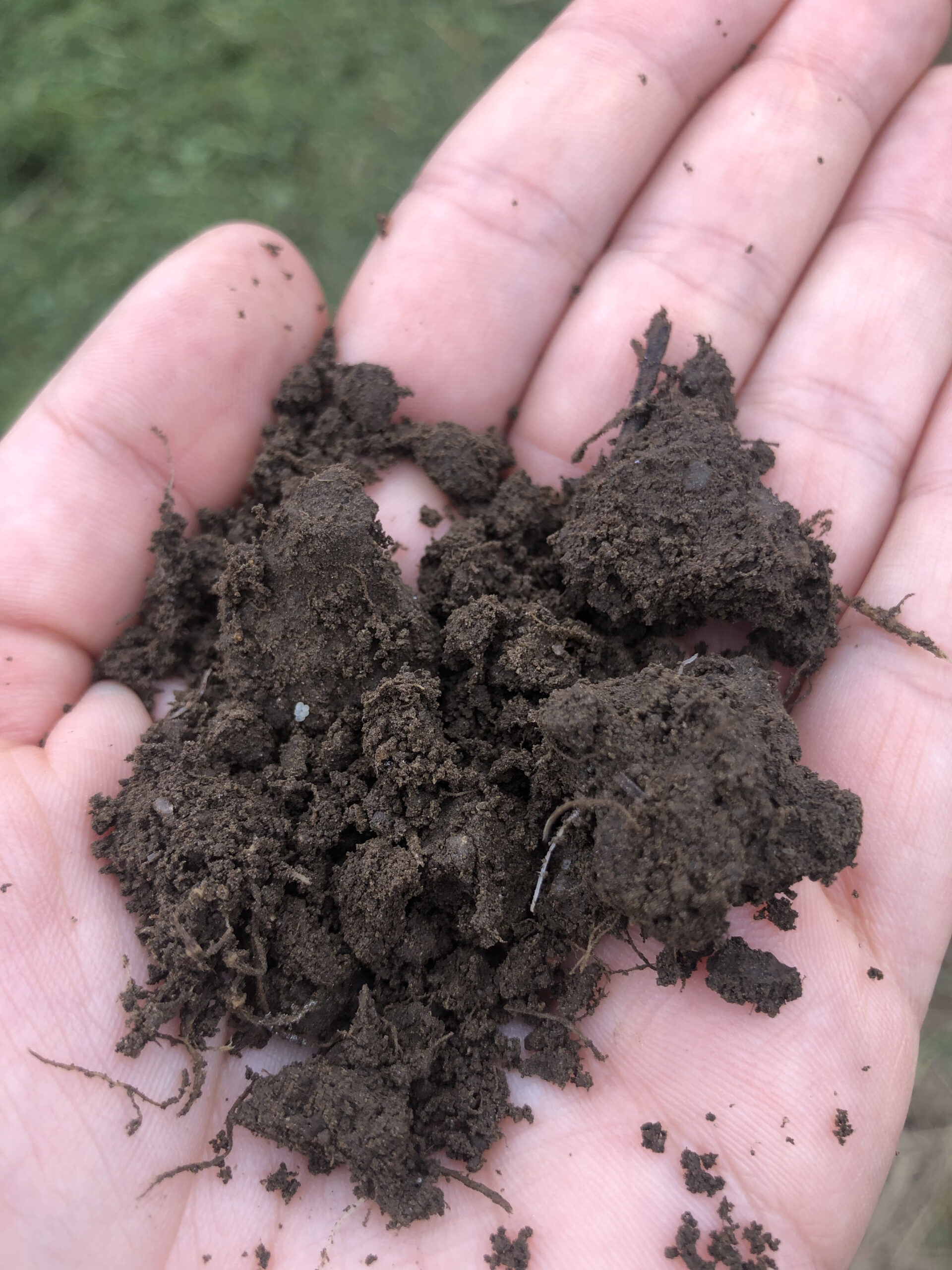 New York Soil Health Field Day to Showcase Practical and Innovative Practices for Farmers