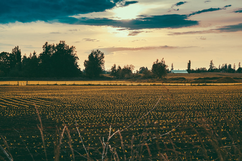 Pacific Northwest Point of View: Innovative Collaboration in Face of Drought