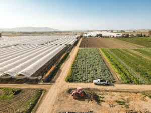 McGrath Family Farm
