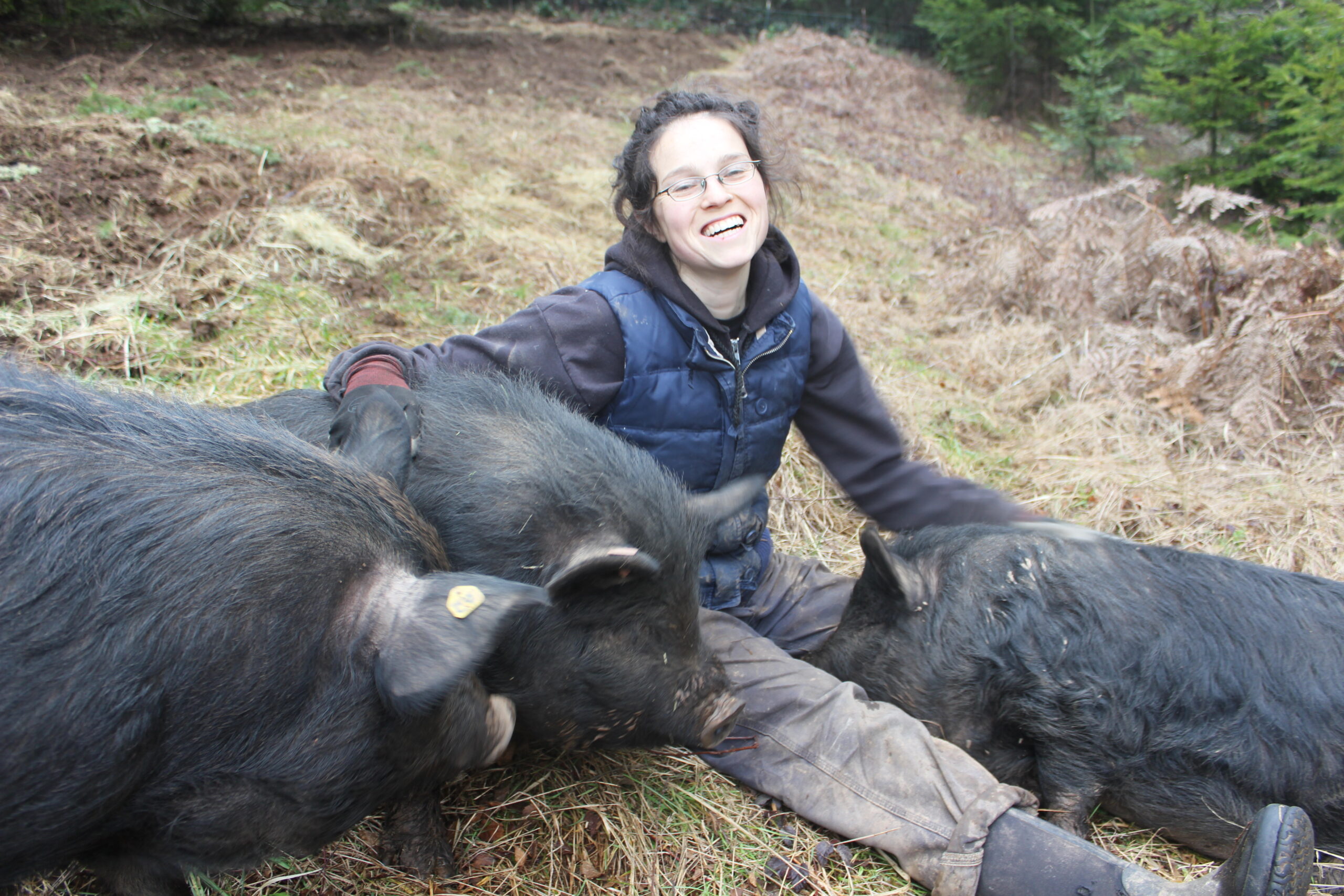 A Few Reflections – and a Story – about Land Tenure 