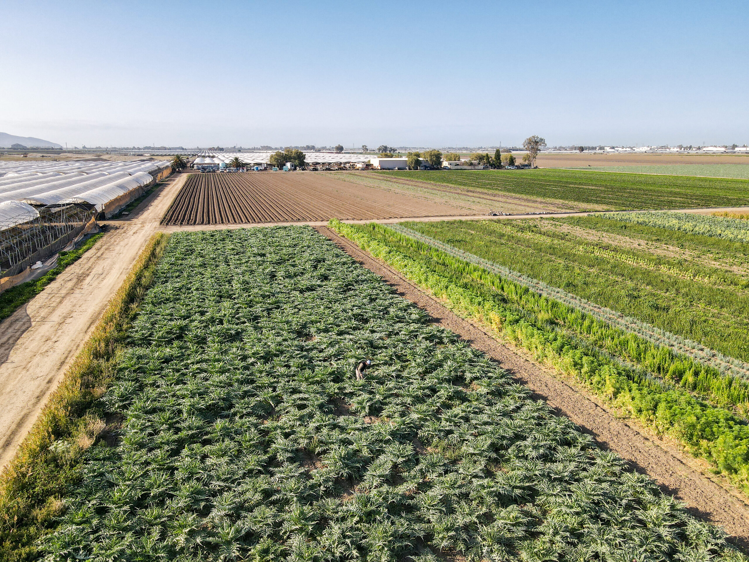 Society Must Act: Changes to Temperature and Rainfall Could Impair Farmers’ Ability to Produce Our Most Basic Crops