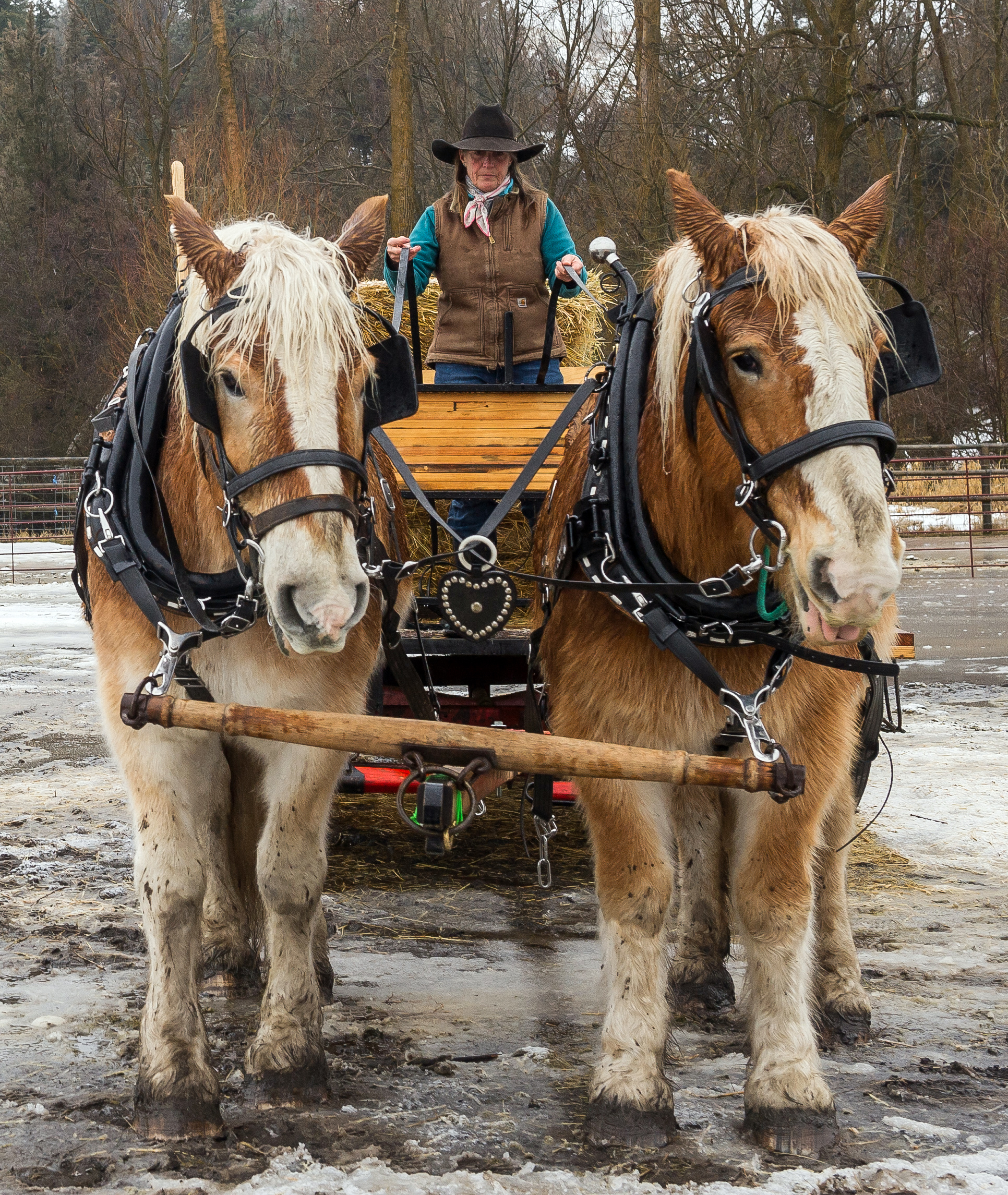 Women in Community for Ranch Resilience in Oregon
