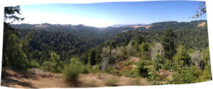 upland management