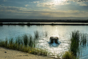 groundwater recharge basin