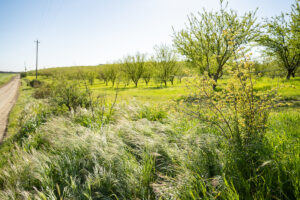 wildlife habitat