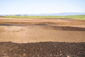 composted soil