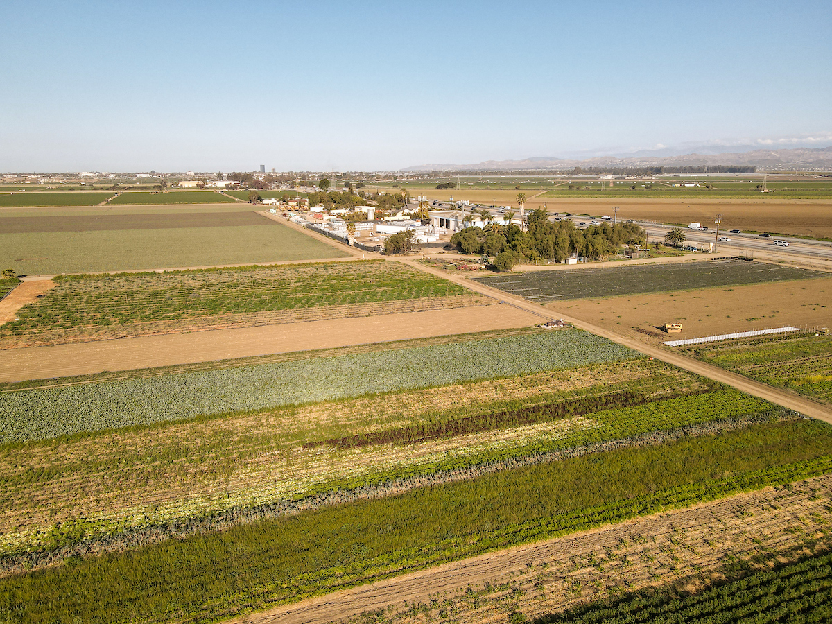 AFT Helps Protect Nation’s Leading Food-Producing State