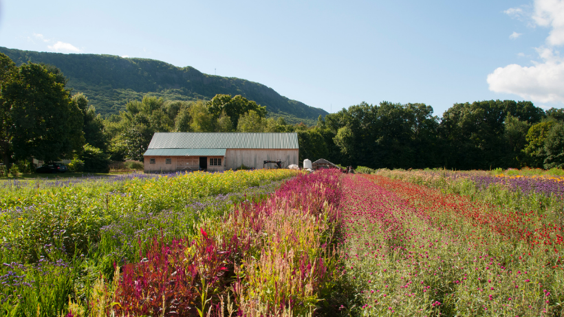 How Climate-Smart Agriculture Led in the 2022 Legislative Session