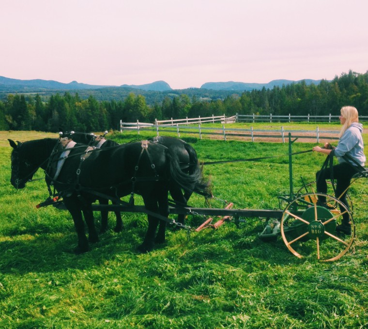 Connection is the Key to Conserving Farmland for a New Generation in New York