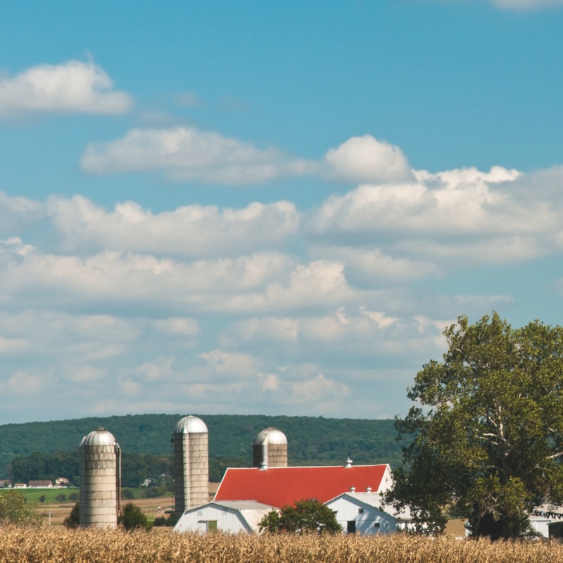 $4.8 million in NRCS Land Management and Land Rental funding available to livestock producers in New England