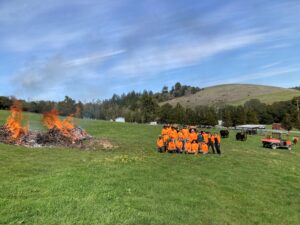 prescribed burns