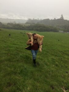 Che carries calf