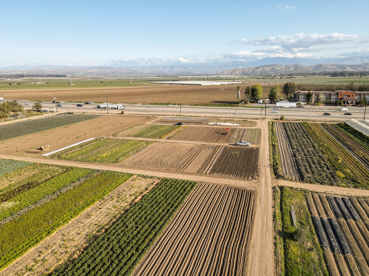 California Sees Budget and Policy Wins for Climate Smart Ag, Drought Relief, and Farmland Protection