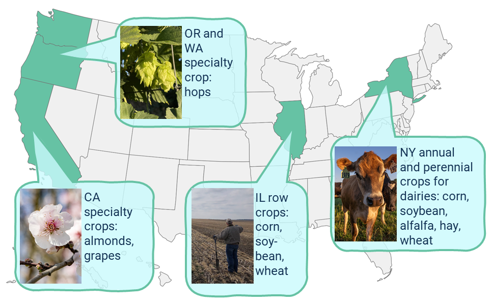 Map of the US highlighting California, Oregon, Washington, Illinois, and New York. Text near California says “CA specialty crops: almonds and grapes.” Text near Oregon and Washington says, “OR and WA specialty crop: hops.” Text near Illinois says, “IL row crops: corn, soybean, wheat.” Text near New York says, “NY annual and perennial crops for dairies: corn, soybean, alfalfa, hay, wheat.