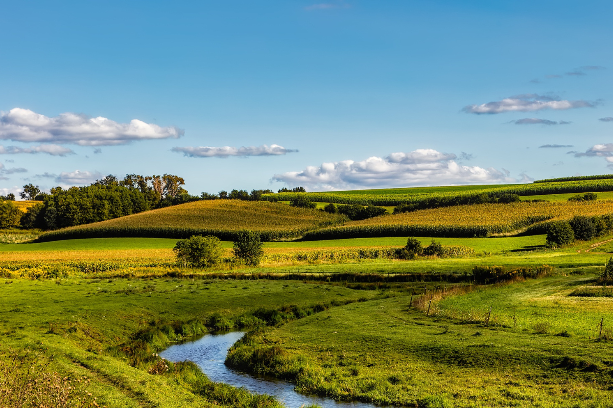 New Funding for Climate-Smart Farm Commodities Could Improve Water Quality