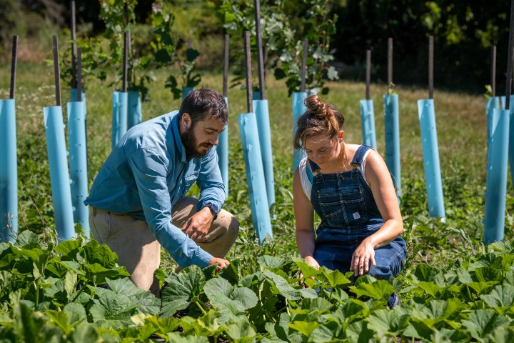Filmmakers and Local Organizations Band Together to Launch the Stronger Together Small Farm Resiliency Fund to Help Small-Scale Farmers in the Hudson Valley
