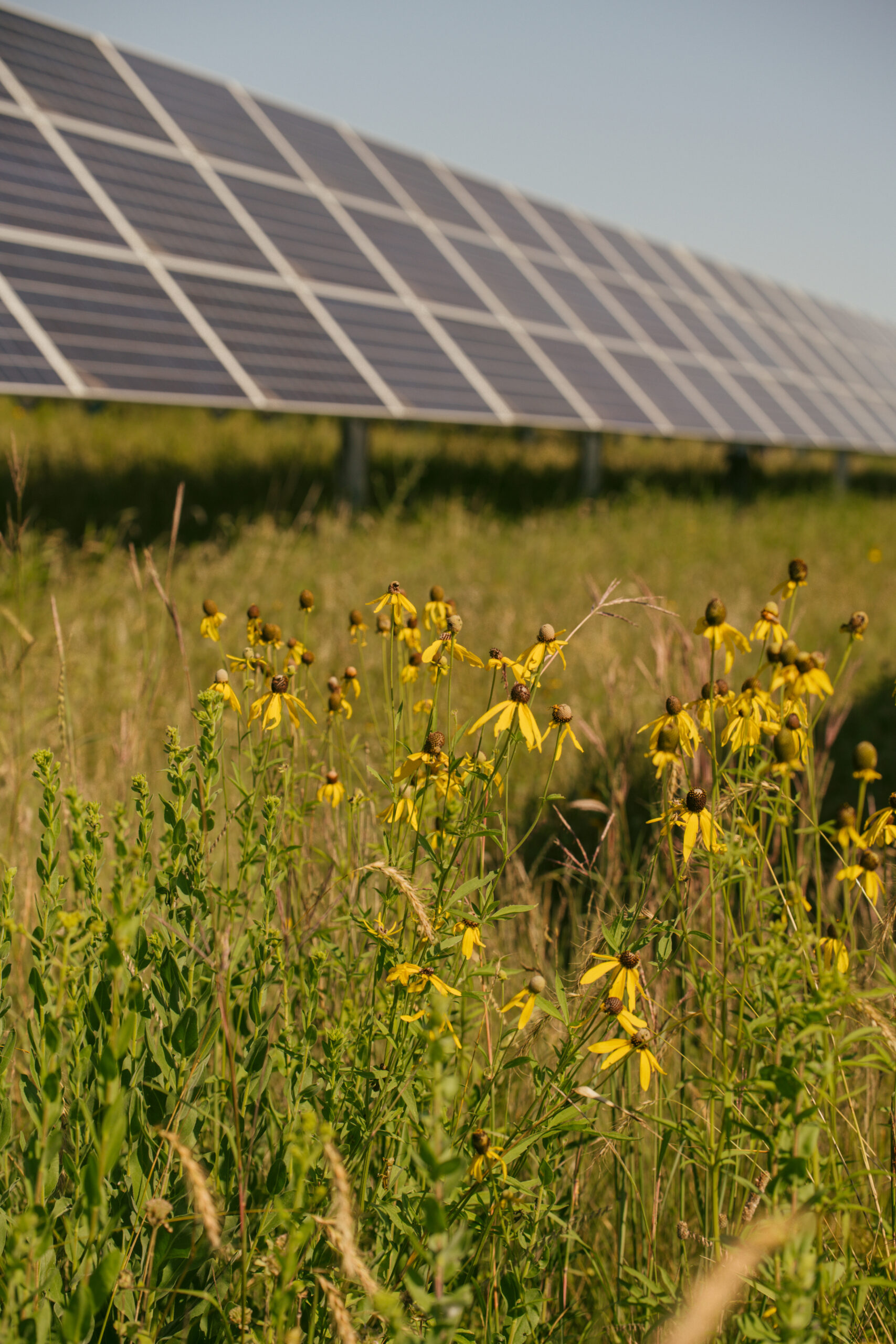 AFT Releases Smart Solar Report for Connecticut. Farmer Perspectives Front and Center