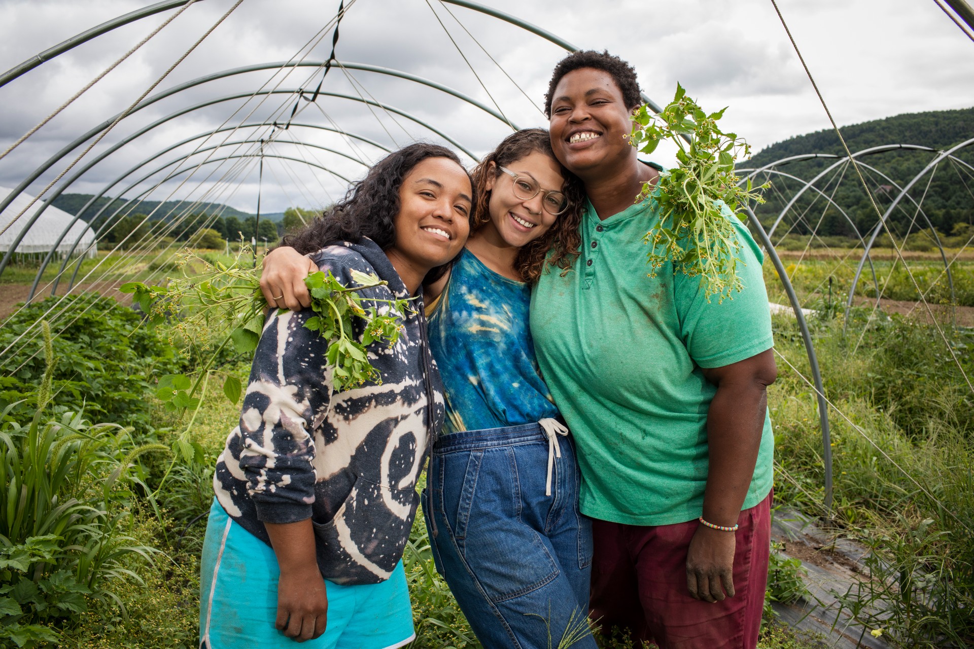 New York Farmland Access Fund to Bridge Affordability Gap for Diverse New Generation of Farmers