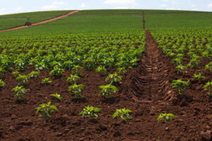 Oregon farm field shows why Resilient Agriculture West is needed.