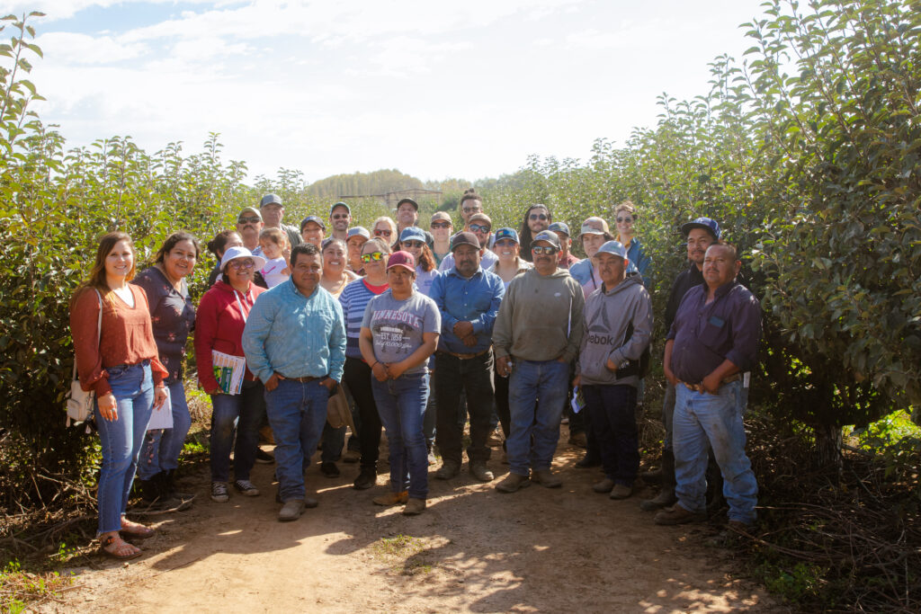 Farmers meet in field after workshop to support transition to organic.