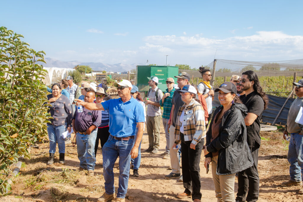 farmers in the field in santa maria