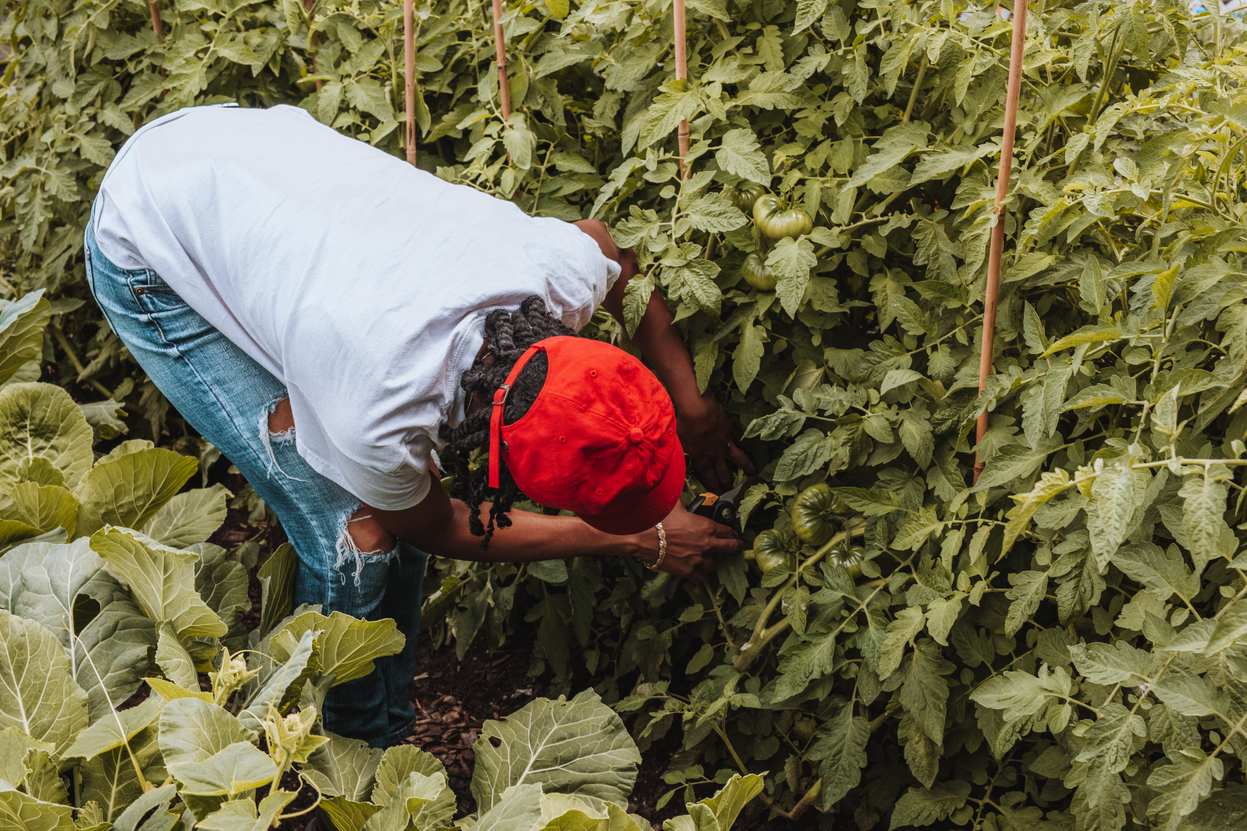 Applications Open for AFT’s Brighter Future Fund