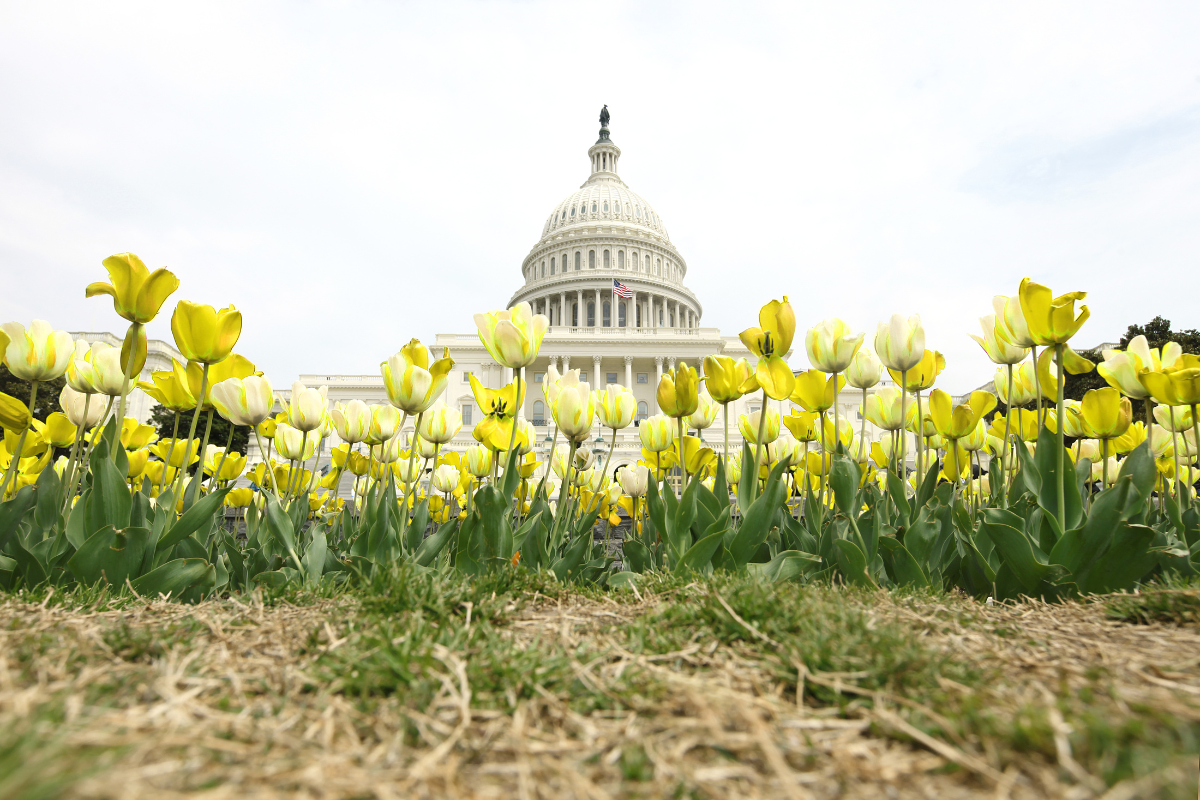 AFT Releases White Papers Detailing Farm Bill Recommendations