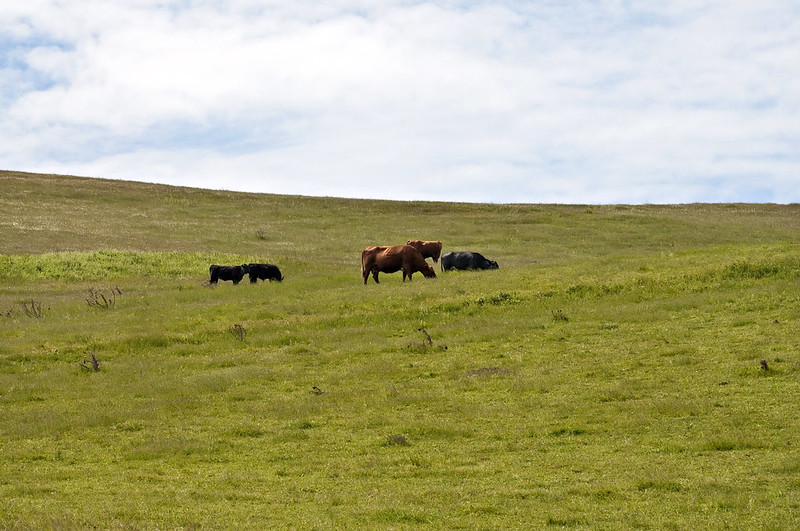American Farmland Trust’s Statement about Solano County, CA Model City