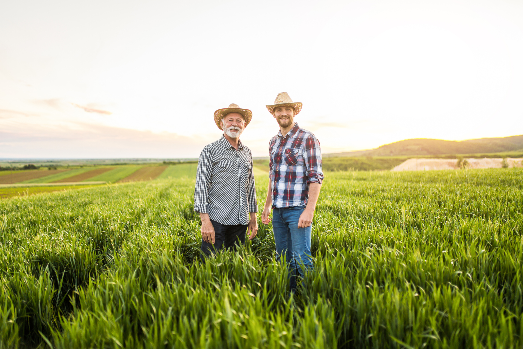 Applications for New England Regenerative Livestock Farming Grant Open October 1st