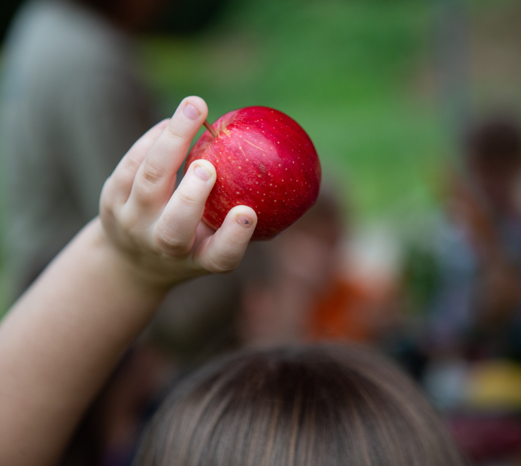 Growing Farm to School in New York State through Programs, Education and Policy