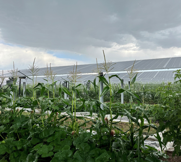 Balancing Progress and Preservation: Maine’s Mitigation Fee Program for Solar Siting and Farmland Protection