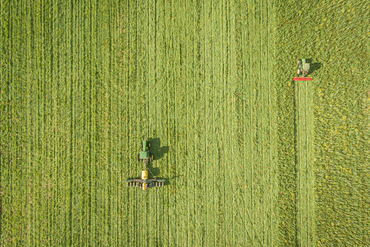 crop field being planted green