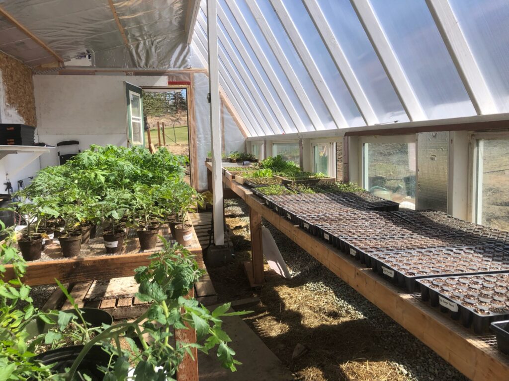 propagation house