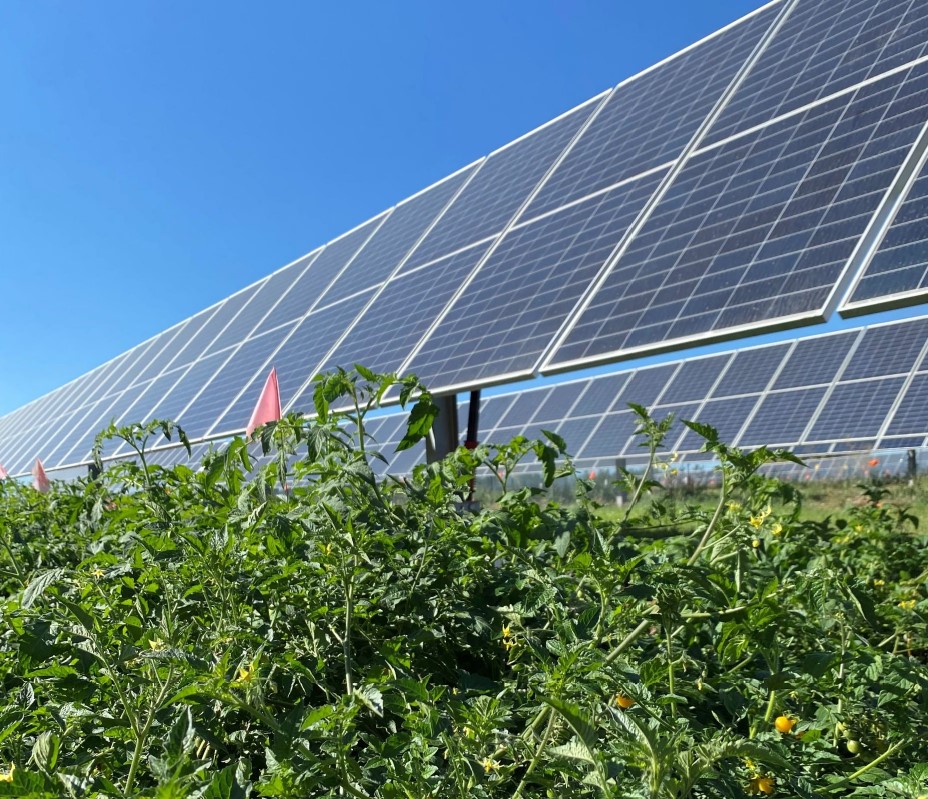 Greenbacker Renewable Energy Company and American Farmland Trust Partner to Advance Smart Solar Development