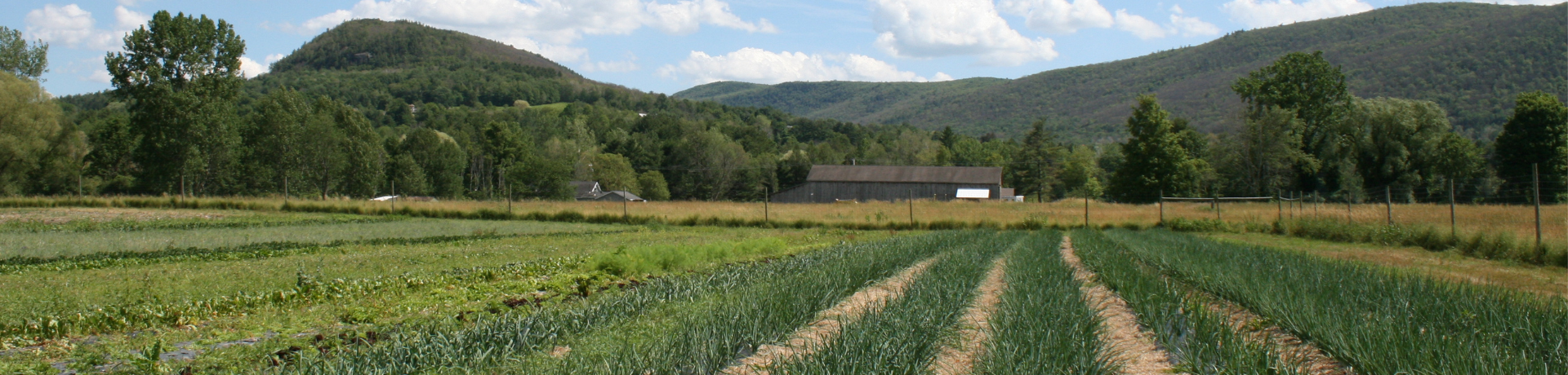 American Farmland Trust’s New England Farmer Microgrants Program awards $954,850 to 117 farmers