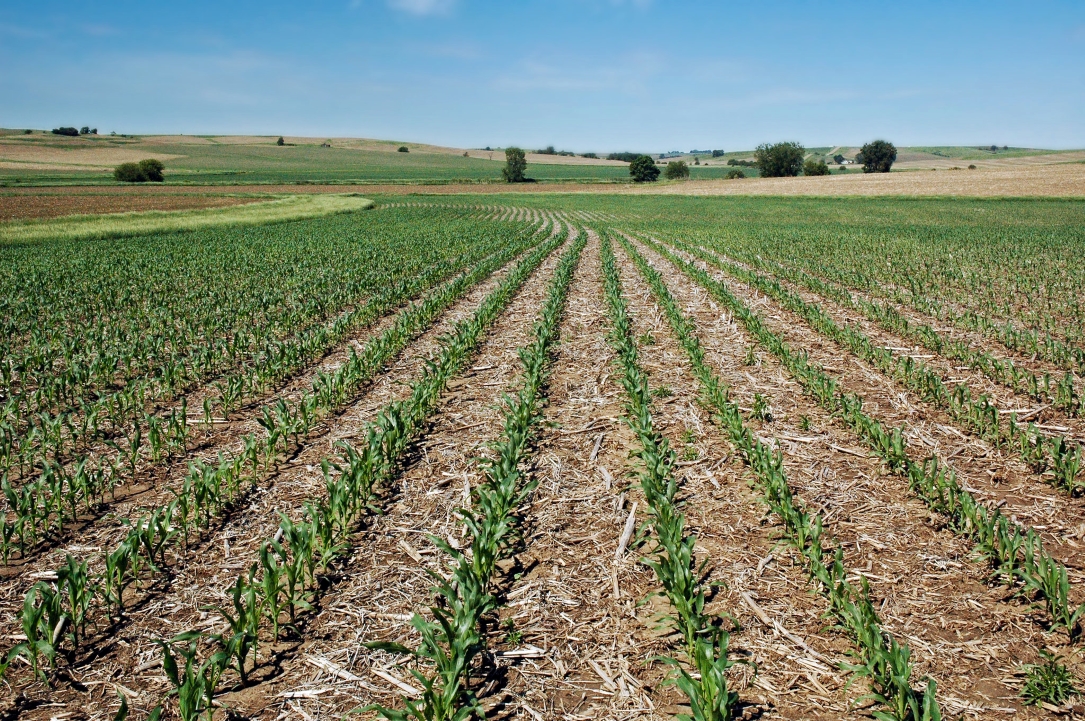 American Farmland Trust Launches Advanced Soil Health Training for Influencers