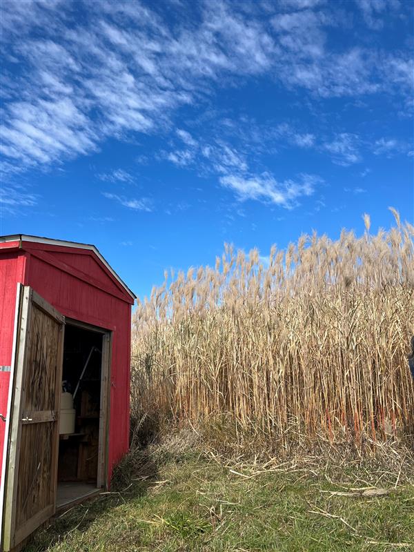 Reflections from Crop Diversification Efforts in the Corn Belt