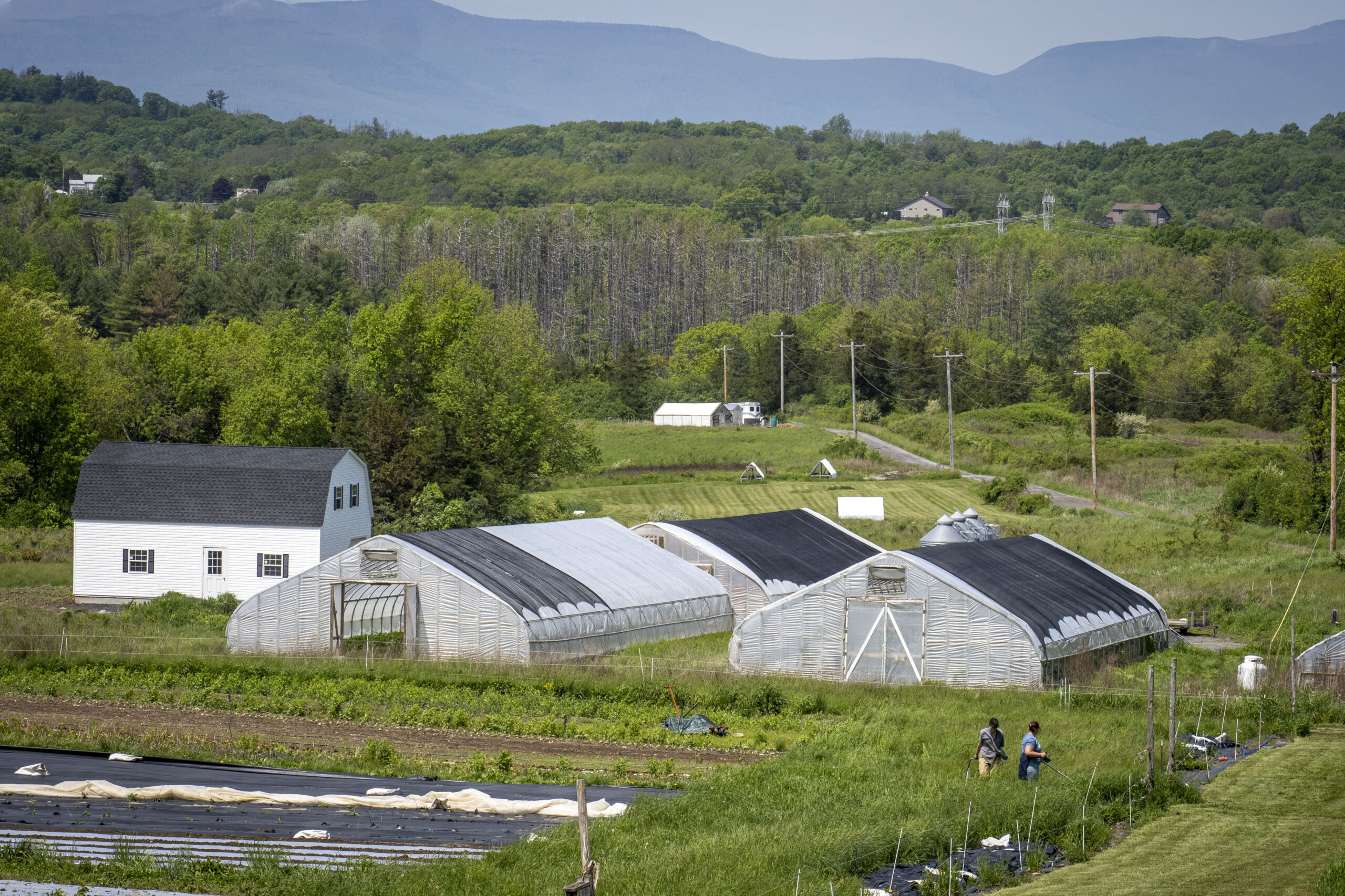 Landscape view of a farm in the springtime. Two hightunnels sit in front of a white barn. Rolling hills are in the backgroud.