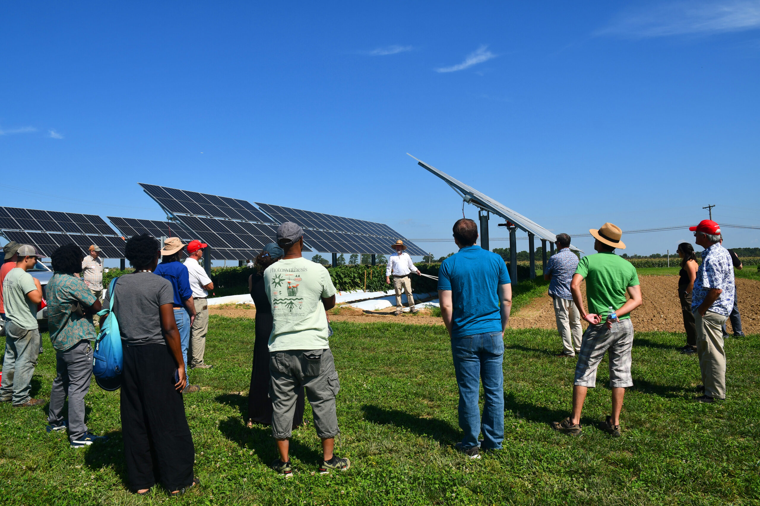 The Land Beneath the Panels: How Agrivoltaics Can Transform the Future of Farming