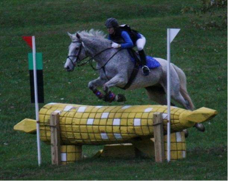 Listening for Change: Insights from Stables, Watersheds, and Conference Rooms