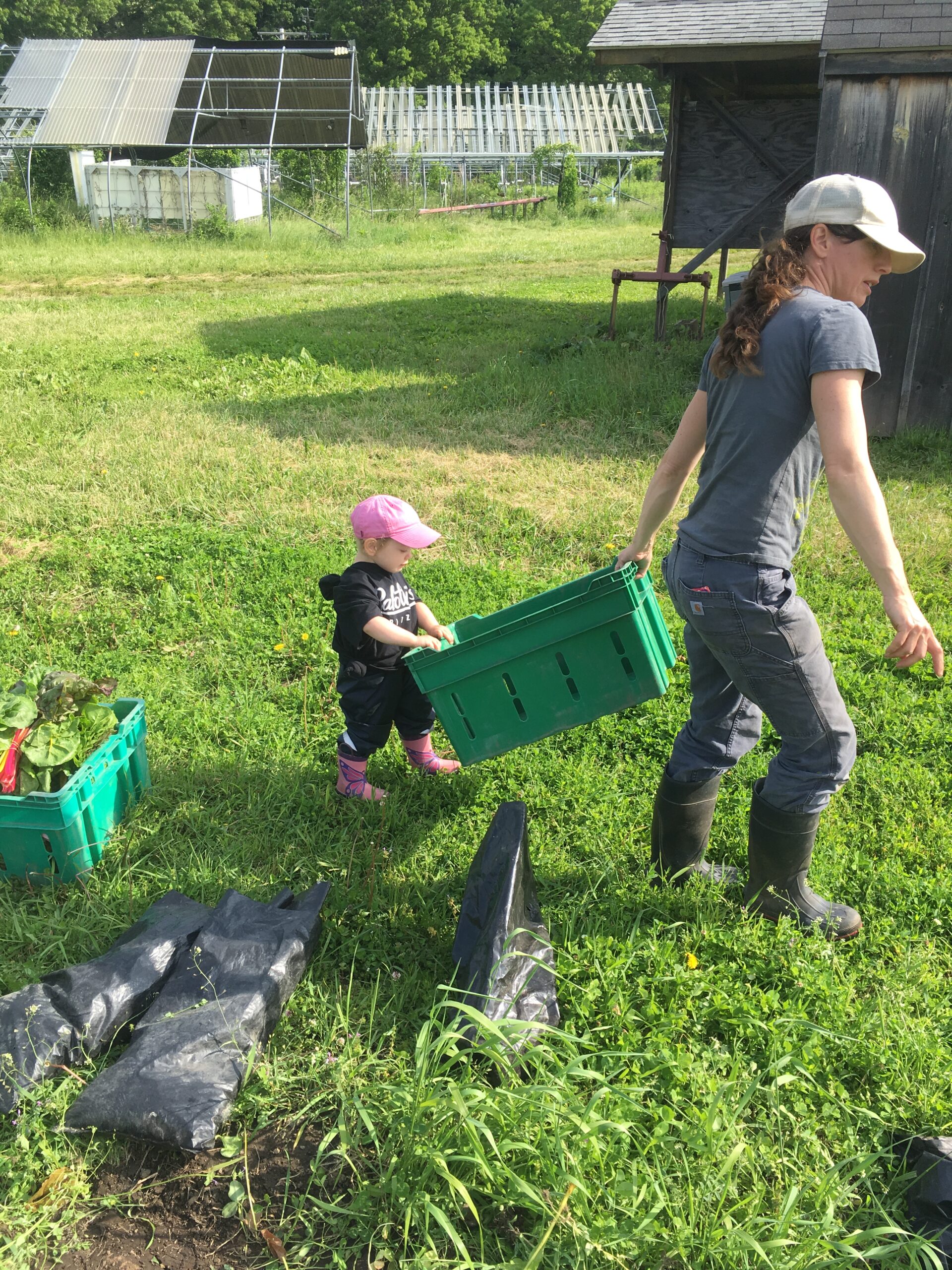 Connecting Farmers with Conservation and Community through NRCS Partnership